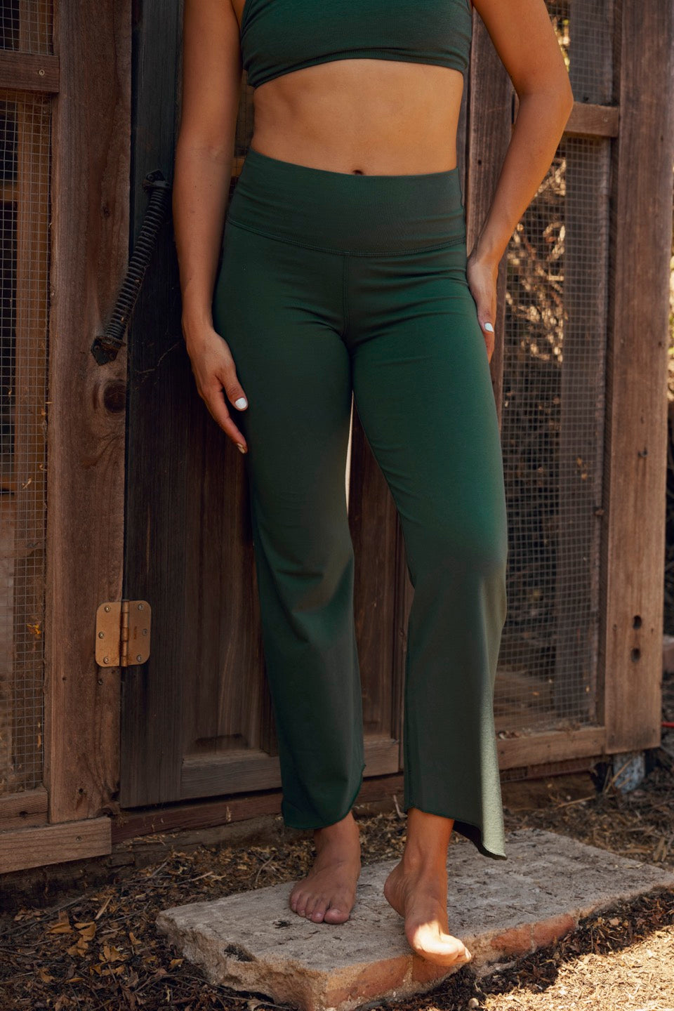 COYOTE COTTON PANTS / PINE